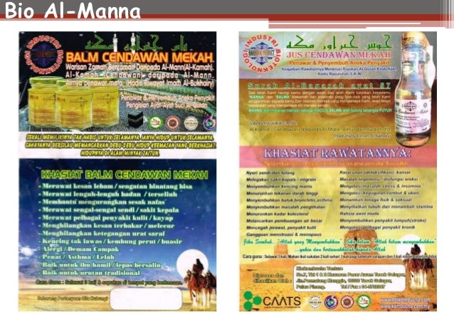 asal usul cendawan mekah