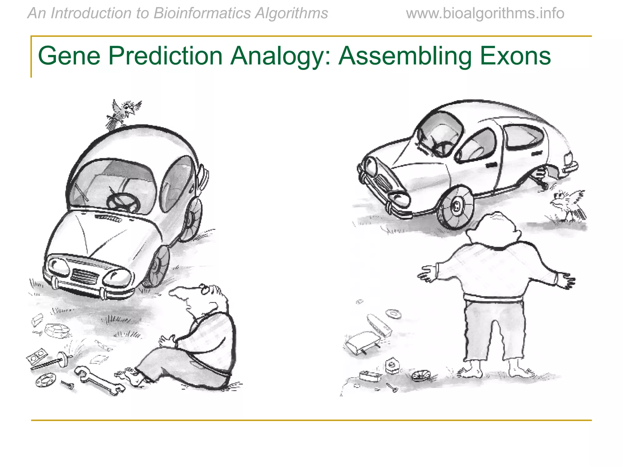 Gene Prediction Analogy: Assembling Exons
 