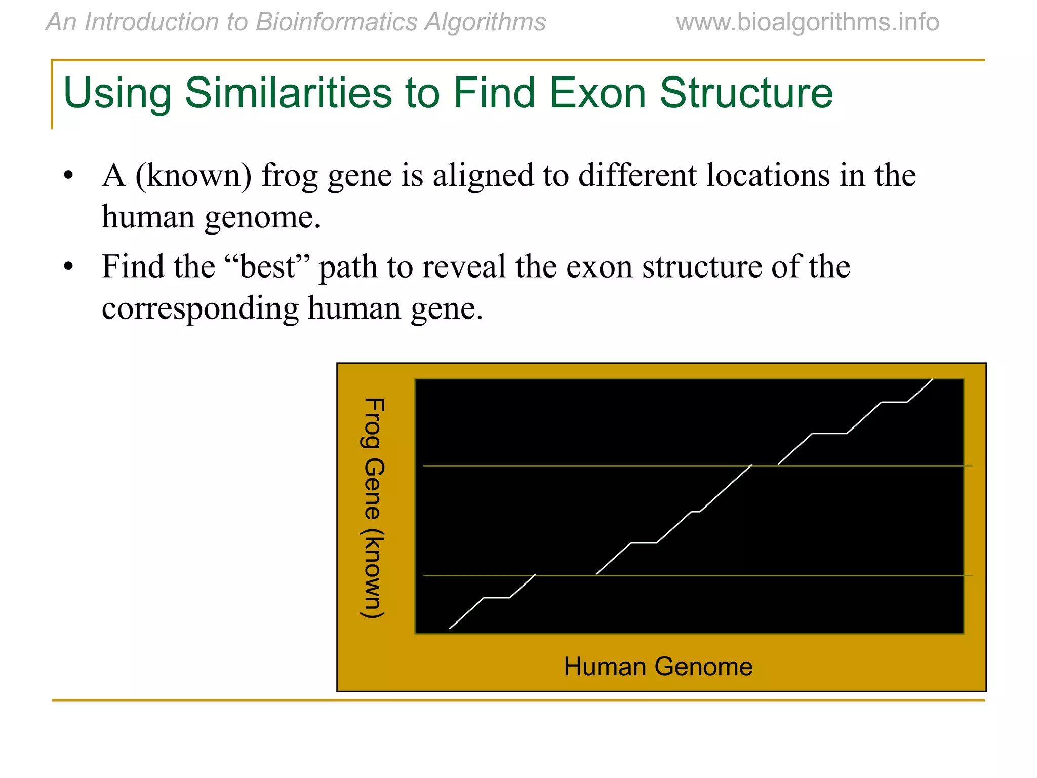 FrogGene(known)
Human Genome
Using Similarities to Find Exon Structure
• A (known) frog gene is aligned to different locations in the
human genome.
• Find  the  “best”  path  to  reveal  the  exon  structure  of  the  
corresponding human gene.
 