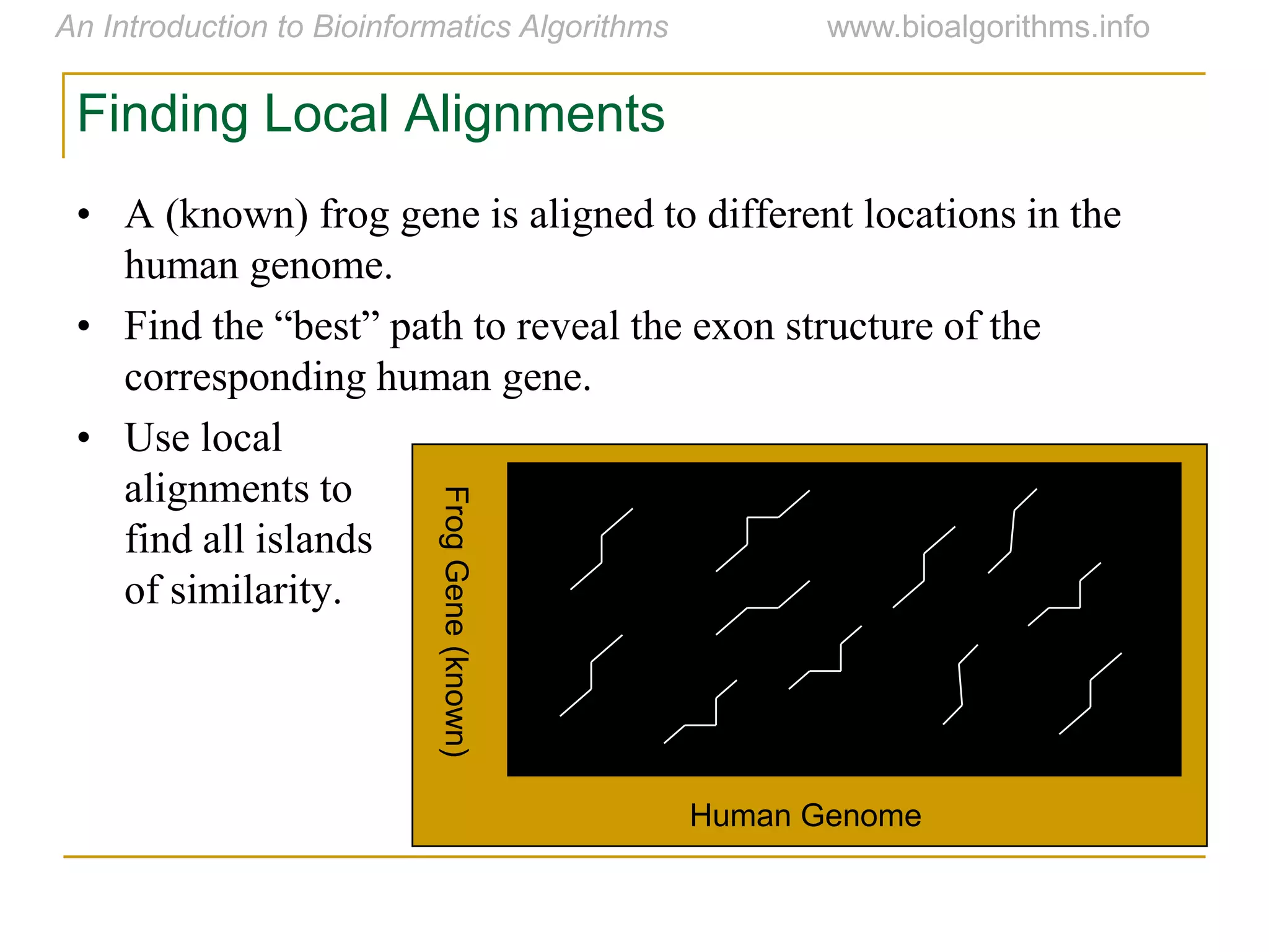 Finding Local Alignments
• A (known) frog gene is aligned to different locations in the
human genome.
• Find  the  “best”  path  to  reveal  the  exon  structure  of  the  
corresponding human gene.
• Use local
alignments to
find all islands
of similarity.
FrogGene(known)
Human Genome
 