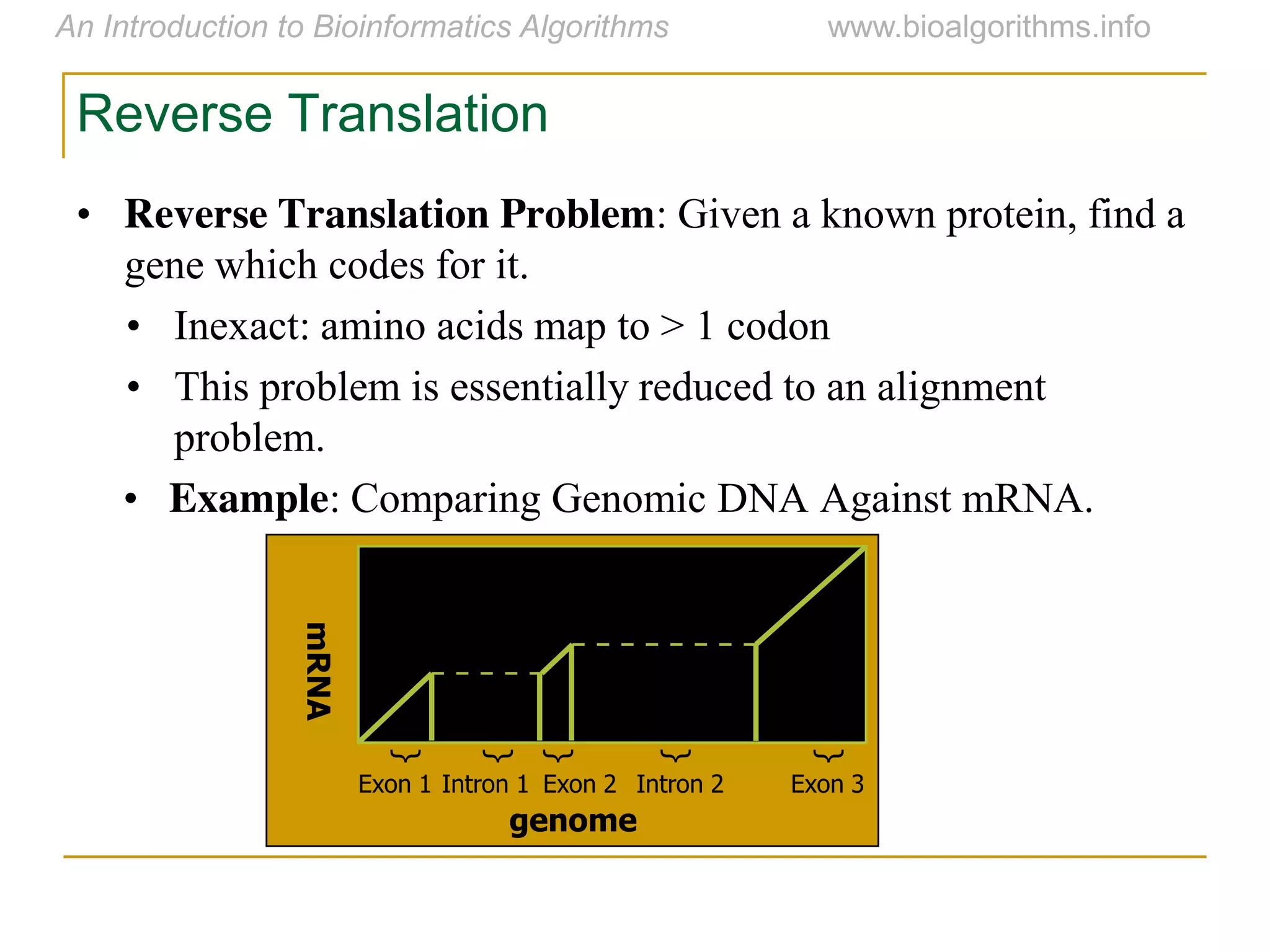 genome
mRNA
Exon 3Exon 1 Exon 2
{
{
{
Intron 1 Intron 2
{
{
Reverse Translation
• Reverse Translation Problem: Given a known protein, find a
gene which codes for it.
• Inexact: amino acids map to > 1 codon
• This problem is essentially reduced to an alignment
problem.
• Example: Comparing Genomic DNA Against mRNA.
 