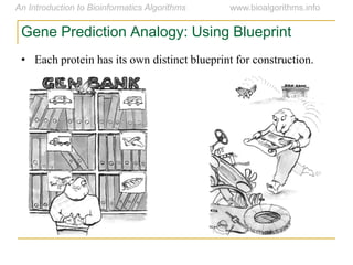 Gene Prediction Analogy: Using Blueprint
• Each protein has its own distinct blueprint for construction.
 