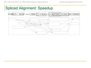 Spliced Alignment: Speedup
 