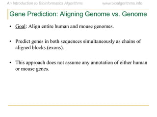 Gene Prediction: Aligning Genome vs. Genome
• Goal: Align entire human and mouse genomes.
• Predict genes in both sequences simultaneously as chains of
aligned blocks (exons).
• This approach does not assume any annotation of either human
or mouse genes.
 