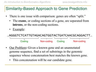 Similarity-Based Approach to Gene Prediction
• There  is  one  issue  with  comparison:  genes  are  often  “split.”
• The exons, or coding sections of a gene, are separated from
introns, or the non-coding sections.
• Example:
• Our Problem: Given a known gene and an unannotated
genome sequence, find a set of substrings in the genomic
sequence whose concatenation best matches the known gene.
• This concatenation will be our candidate gene.
…AGGGTCTCATTGTAGACAGTGGTACTGATCAACGCAGGACTT…
Coding Non-coding Coding Non-coding
 