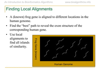 Finding Local Alignments
• A (known) frog gene is aligned to different locations in the
human genome.
• Find  the  “best”  path  to  reveal  the  exon  structure  of  the  
corresponding human gene.
• Use local
alignments to
find all islands
of similarity.
FrogGene(known)
Human Genome
 