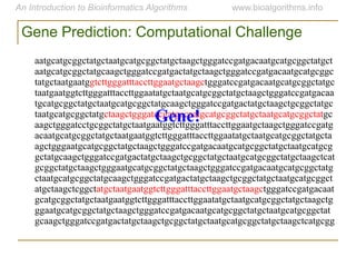aatgcatgcggctatgctaatgcatgcggctatgctaagctgggatccgatgacaatgcatgcggctatgct
aatgcatgcggctatgcaagctgggatccgatgactatgctaagctgggatccgatgacaatgcatgcggc
tatgctaatgaatggtcttgggatttaccttggaatgctaagctgggatccgatgacaatgcatgcggctatgc
taatgaatggtcttgggatttaccttggaatatgctaatgcatgcggctatgctaagctgggatccgatgacaa
tgcatgcggctatgctaatgcatgcggctatgcaagctgggatccgatgactatgctaagctgcggctatgc
taatgcatgcggctatgctaagctgggatccgatgacaatgcatgcggctatgctaatgcatgcggctatgc
aagctgggatcctgcggctatgctaatgaatggtcttgggatttaccttggaatgctaagctgggatccgatg
acaatgcatgcggctatgctaatgaatggtcttgggatttaccttggaatatgctaatgcatgcggctatgcta
agctgggaatgcatgcggctatgctaagctgggatccgatgacaatgcatgcggctatgctaatgcatgcg
gctatgcaagctgggatccgatgactatgctaagctgcggctatgctaatgcatgcggctatgctaagctcat
gcggctatgctaagctgggaatgcatgcggctatgctaagctgggatccgatgacaatgcatgcggctatg
ctaatgcatgcggctatgcaagctgggatccgatgactatgctaagctgcggctatgctaatgcatgcggct
atgctaagctcggctatgctaatgaatggtcttgggatttaccttggaatgctaagctgggatccgatgacaat
gcatgcggctatgctaatgaatggtcttgggatttaccttggaatatgctaatgcatgcggctatgctaagctg
ggaatgcatgcggctatgctaagctgggatccgatgacaatgcatgcggctatgctaatgcatgcggctat
gcaagctgggatccgatgactatgctaagctgcggctatgctaatgcatgcggctatgctaagctcatgcgg
Gene Prediction: Computational Challenge
Gene!
 