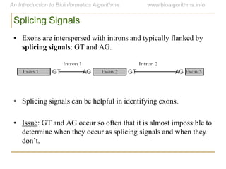 Splicing Signals
• Exons are interspersed with introns and typically flanked by
splicing signals: GT and AG.
• Splicing signals can be helpful in identifying exons.
• Issue: GT and AG occur so often that it is almost impossible to
determine when they occur as splicing signals and when they
don‟t.
 