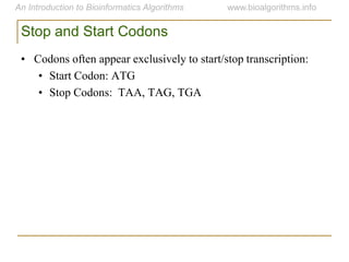 Stop and Start Codons
• Codons often appear exclusively to start/stop transcription:
• Start Codon: ATG
• Stop Codons: TAA, TAG, TGA
 