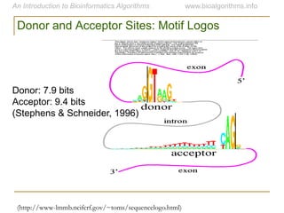 (http://www-lmmb.ncifcrf.gov/~toms/sequencelogo.html)
Donor: 7.9 bits
Acceptor: 9.4 bits
(Stephens & Schneider, 1996)
Donor and Acceptor Sites: Motif Logos
 