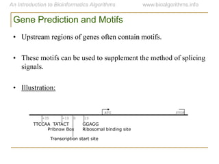 -10
STOP
0 10-35
ATG
TATACT
Pribnow Box
TTCCAA GGAGG
Ribosomal binding site
Transcription start site
Gene Prediction and Motifs
• Upstream regions of genes often contain motifs.
• These motifs can be used to supplement the method of splicing
signals.
• Illustration:
 