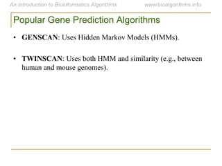 Popular Gene Prediction Algorithms
• GENSCAN: Uses Hidden Markov Models (HMMs).
• TWINSCAN: Uses both HMM and similarity (e.g., between
human and mouse genomes).
 