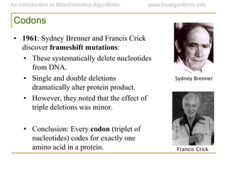 Codons
• 1961: Sydney Brenner and Francis Crick
discover frameshift mutations:
• These systematically delete nucleotides
from DNA.
• Single and double deletions
dramatically alter protein product.
• However, they noted that the effect of
triple deletions was minor.
• Conclusion: Every codon (triplet of
nucleotides) codes for exactly one
amino acid in a protein. Francis Crick
Sydney Brenner
 