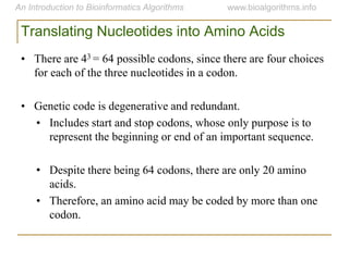 Translating Nucleotides into Amino Acids
• There are 43 = 64 possible codons, since there are four choices
for each of the three nucleotides in a codon.
• Genetic code is degenerative and redundant.
• Includes start and stop codons, whose only purpose is to
represent the beginning or end of an important sequence.
• Despite there being 64 codons, there are only 20 amino
acids.
• Therefore, an amino acid may be coded by more than one
codon.
 