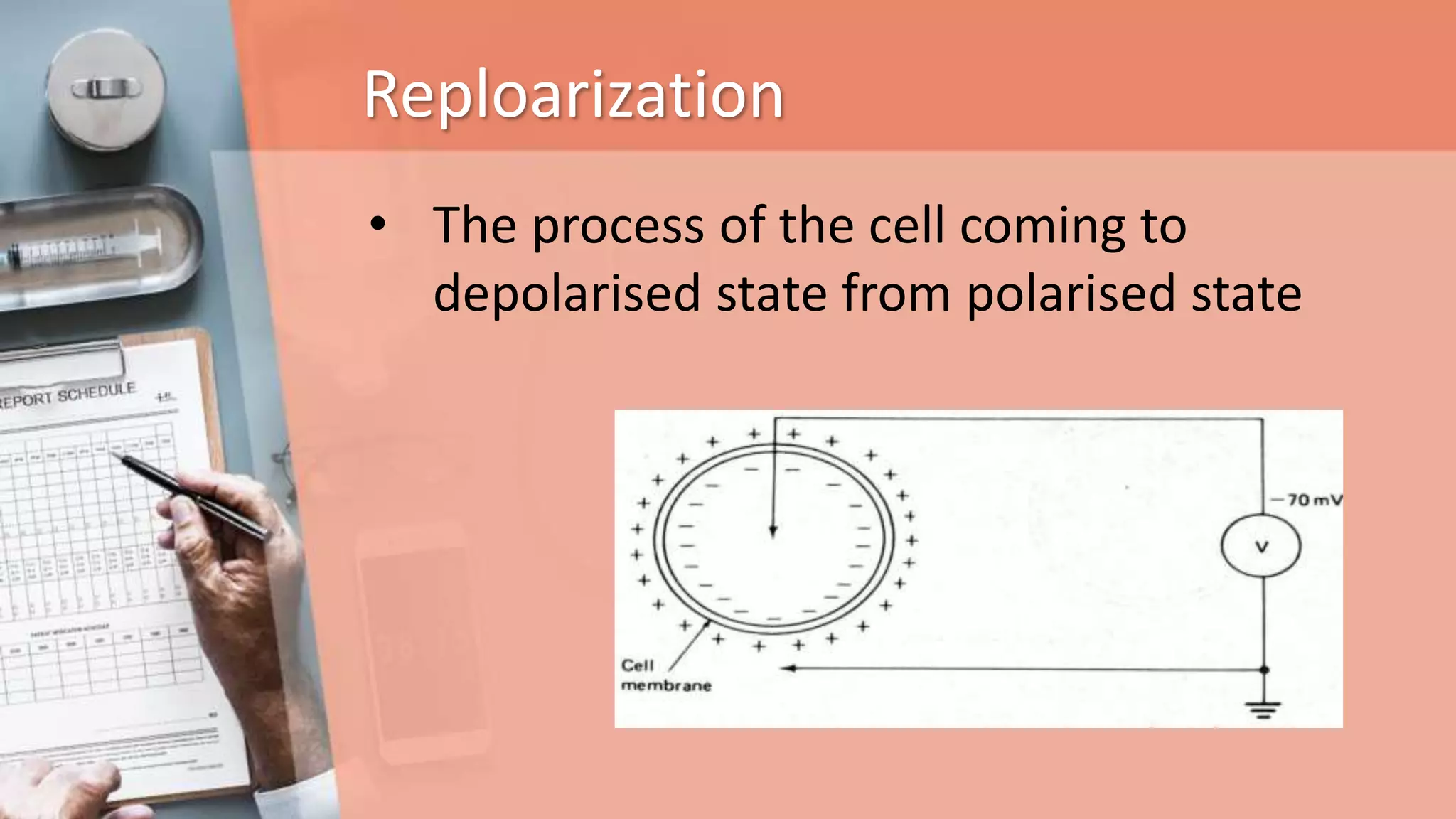 Reploarization
• The process of the cell coming to
depolarised state from polarised state
 