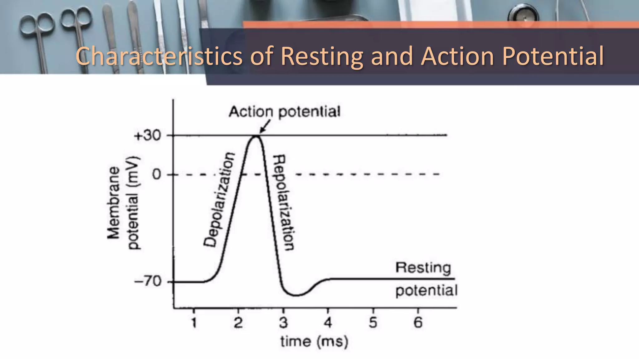 Characteristics of Resting and Action Potential
 