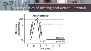 Characteristics of Resting and Action Potential
 