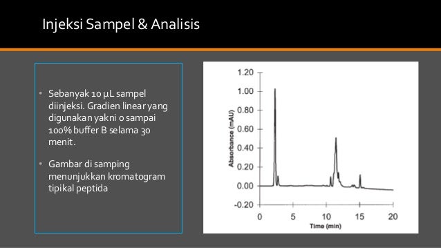 Teknik RP-HPLC untuk Analisis Protein