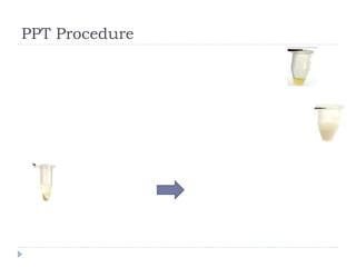 PPT Procedure
 