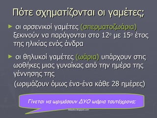 Πότε σχηματίζονται οι γαμέτες; οι αρσενικοί γαμέτες  (σπερματοζωάρια)  ξεκινούν να παράγονται στο 12 ο  με 15 ο  έτος της ηλικίας ενός άνδρα οι θηλυκοί γαμέτες  (ωάρια)  υπάρχουν στις ωοθήκες μιας γυναίκας από την ημέρα της γέννησης της (ωριμάζουν όμως ένα-ένα κάθε 28 ημέρες) Γίνεται να ωριμάσουν ΔΥΟ ωάρια ταυτόχρονα; 