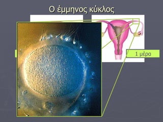 Ο έμμηνος κύκλος 8 μέρες 1 μέρα 