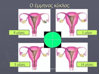 Ο έμμηνος κύκλος 8 μέρες 1 μέρα 14 μέρες 5 μέρες 