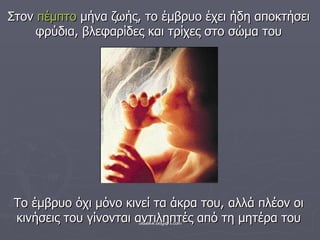 Στον  πέμπτο  μήνα ζωής, το έμβρυο έχει ήδη αποκτήσει φρύδια, βλεφαρίδες και τρίχες στο σώμα του Το έμβρυο όχι μόνο κινεί τα άκρα του, αλλά πλέον οι κινήσεις του γίνονται αντιληπτές από τη μητέρα του 