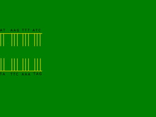 AT   AAG TTT ATC




TA   TTC AAA TAG
 