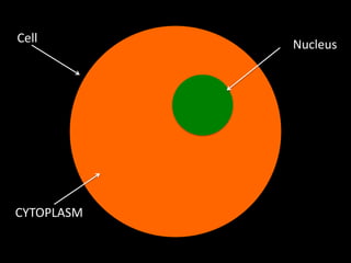 Cell        Nucleus




CYTOPLASM
 