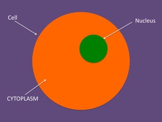Cell        Nucleus




CYTOPLASM
 