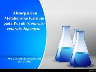 Absorpsi dan
Metabolisme Kalsium
pada Puyuh (Coturnix-
coturnix Japonica)
WA ODE SITTI KHUZAIMAH
(F1C115080)
 