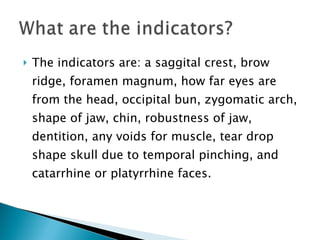 The indicators are: a saggital crest, brow ridge, foramen magnum, how far eyes are from the head, occipital bun, zygomatic arch, shape of jaw, chin, robustness of jaw, dentition, any voids for muscle, tear drop shape skull due to temporal pinching, and catarrhine or platyrrhine faces. 
