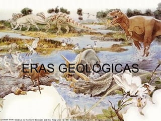 ERAS GEOLÓGICAS


      
 