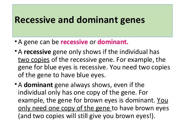 Difference Between Dominate And Recessive Genes