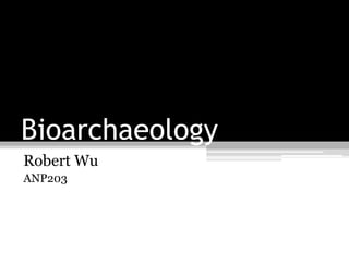 Bioarchaeology Robert Wu  ANP203 