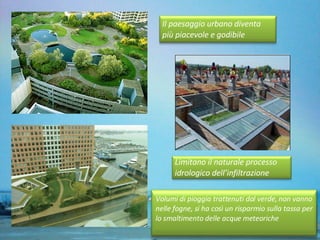 Il paesaggio urbano diventa più piacevole e godibile Volumi di pioggia trattenuti dal verde, non vanno nelle fogne, si ha così un risparmio sulla tassa per lo smaltimento delle acque meteoriche Limitano il naturale processo idrologico dell’infiltrazione 