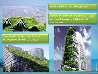 Riduzione del rischio di allagamento Con la scelta di essenze locali si può incrementare la varietà biologica Assorbono il calore e ne emettono molto meno contribuendo ad abbassare le temperature 