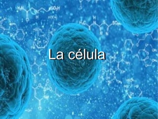La célulaLa célula
 