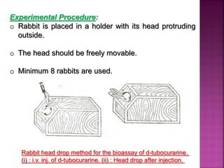 Experimental Procedure:
o Rabbit is placed in a holder with its head protruding
outside.
o The head should be freely movable.
o Minimum 8 rabbits are used.
Rabbit head drop method for the bioassay of d-tubocurarine.
(i) : i.v. inj. of d-tubocurarine. (ii) : Head drop after injection.
 