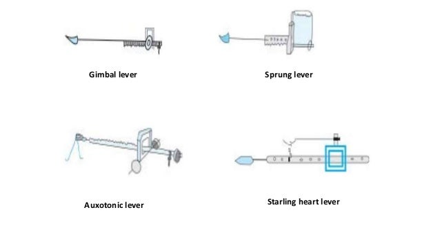 Mechanical advantage of a lever picture