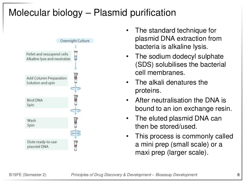 Bioassay development part 4