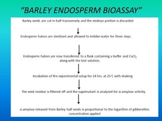 “BARLEY ENDOSPERM BIOASSAY”
 