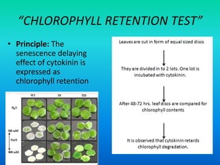 “CHLOROPHYLL RETENTION TEST”
• Principle: The
senescence delaying
effect of cytokinin is
expressed as
chlorophyll retention
 
