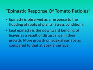 “Epinastic Response Of Tomato Petioles”
• Epinasty is observed as a response to the
flooding of roots of plants (Stress condition).
• Leaf epinasty is the downward bending of
leaves as a result of disturbance in their
growth. More growth on adaxial surface as
compared to that at abaxial surface.
 