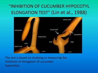 “INHIBITION OF CUCUMBER HYPOCOTYL
ELONGATION TEST” (Lin et al., 1988)
The test is based on studying or measuring the
inhibition of elongation of cucumber
hypocotyls.
 