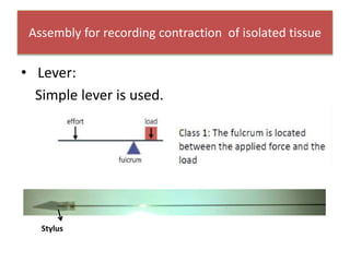 Assembly for recording contraction of isolated tissue
• Lever:
Simple lever is used.
Stylus
 