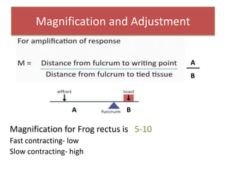 Magnification and Adjustment
Magnification for Frog rectus is 5-10
Fast contracting- low
Slow contracting- high
BA
A
B
 