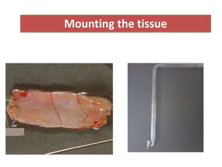 Mounting the tissue
 