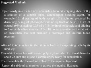 Suggested Method:
Inject slowly into the tail vein of a male albino rat weighing about 300 g
a solution of a suitable alpha -adrenoceptor blocking agent, for
example 10 ml per kg of body weight of a solution prepared by
dissolving 5 mg of phenoxybenzamine hydrochloride in 0.1 ml of
ethanol (95%), adding 0.05 ml of 1M hydrochloride acid and diluting
to 5 ml with saline solution. After 18 hours, anaesthetise the rat with
an anaesthetic that will maintain a prolonged and uniform blood
pressure.
After 45 to 60 minutes, tie the rat on its back to the operating table by its
hind legs.
Cannulate the trachea with a short polyethylene tube of external diameter
about 2.5 mm and dissect a carotid artery ready for cannulation.
Then cannulate the femoral vein close to the inguinal ligament.
Retract the abdominal muscles to expose the inguinal ligament.
 