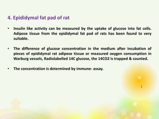 4. Epididymal fat pad of rat
• Insulin like activity can be measured by the uptake of glucose into fat cells.
Adipose tissue from the epididymal fat pad of rats has been found to very
suitable.
• The difference of glucose concentration in the medium after incubation of
pieces of epididymal rat adipose tissue or measured oxygen consumption in
Warburg vessels, Radiolabelled 14C glucose, the 14CO2 is trapped & counted.
• The concentration is determined by immune- assay.
 